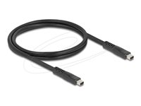 Delock DisplayPort kabel 1m Sort