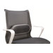 FELLOWES i-spire coussin lombaire