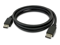 StarTech.com - Câble DisplayPort - Conformité TAA - DisplayPort (M) pour DisplayPort (M) 
