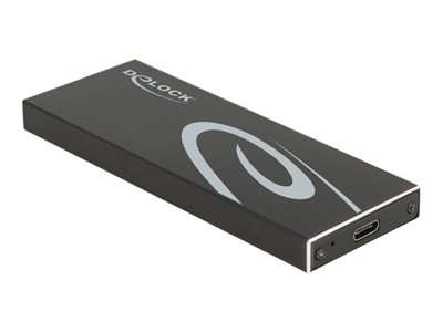 DELOCK Externes Gehäuse M.2 SATA SSD mit USB Type-C Buchse - 42003