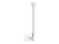 NEOMOUNTS Flatscreen Ceiling Mount