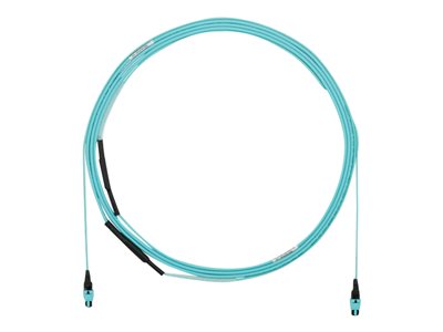 Panduit - Trunk cable
