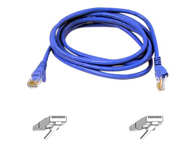 Belkin High Performance patch cable 50 cm Product shot Front 79200