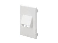 Panduit Pan-Way Classic Series Snap-On Faceplate