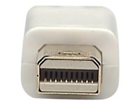 Manhattan Mini DisplayPort 1.2 Cable (Clearance Pricing), 4K@60Hz, 1m, Male to Male, Bi-Directional, White, Lifetime Warranty