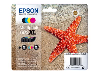  Epson Multipack 603