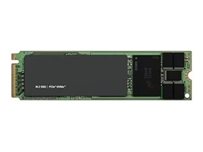 DELL 960GB NVMe Read Intensive FIPS-140
