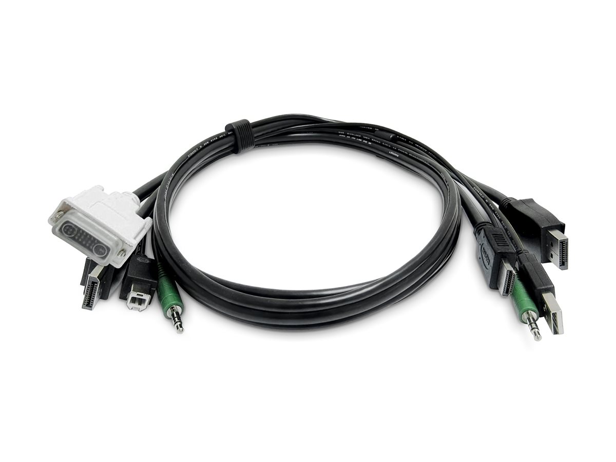 StarTech SKDVI2HDDP06MMKVM06T
