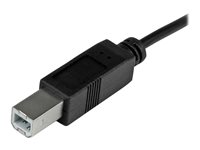 StarTech.com USB C to USB B Printer Cable 3 ft / 1m USB C Printer Cable 