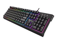 Genesis Thor 210 RGB Tastatur Hybrid mechanical RGB Kabling USA