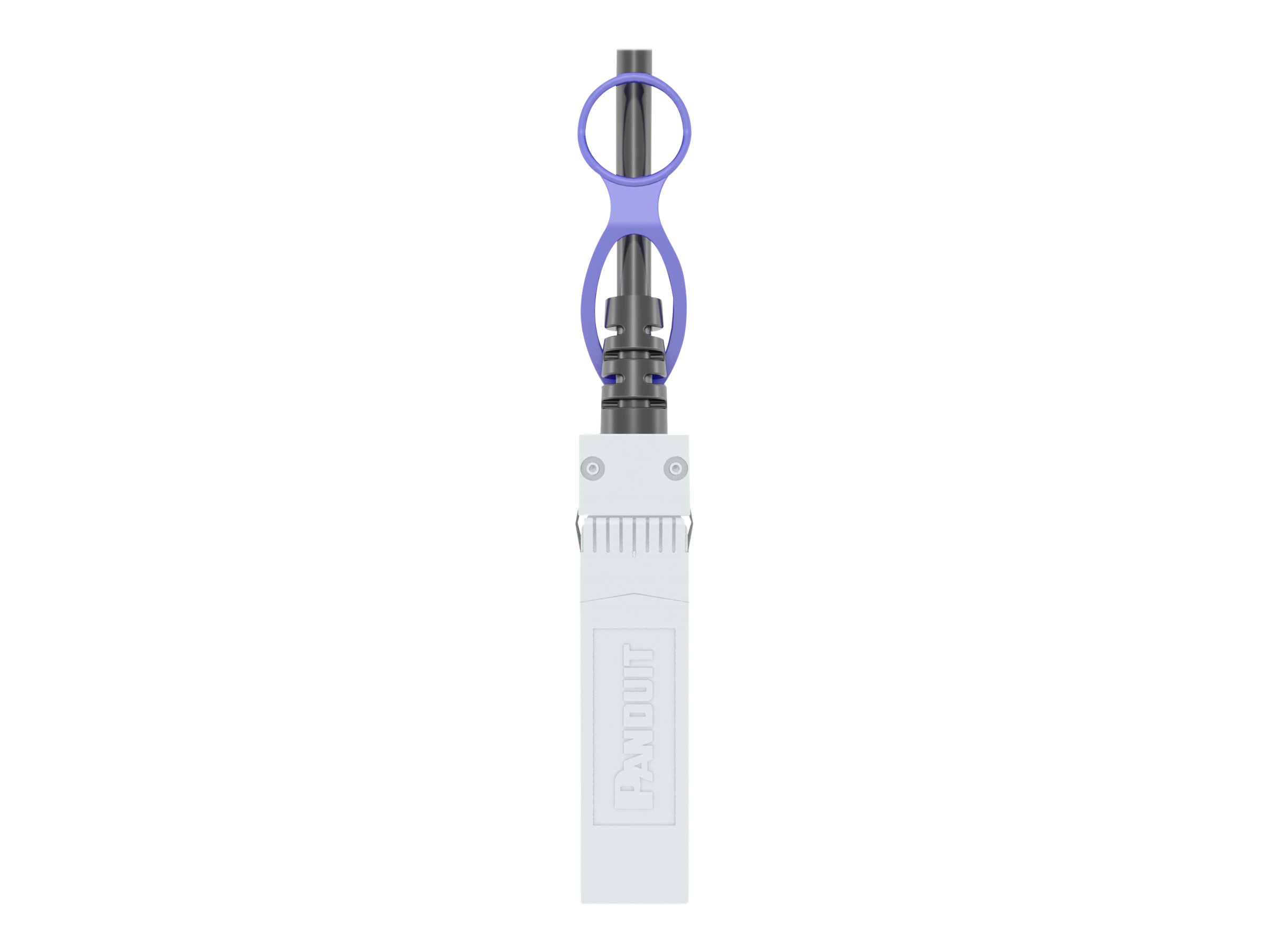 Panduit 10Gig - 10GBase direct attach cable