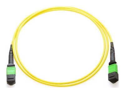 Axiom - Trunk cable - TAA Compliant