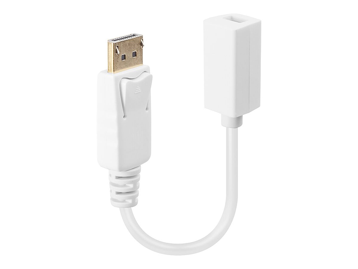 LINDY DisplayPort DPM/Mini-DPF Cable