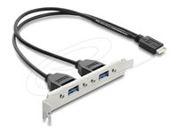 Delock USB Type-E Key B male to 2 x USB 5 Gbps Type-A female with slot bracket connection cable 35.5 cm