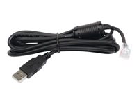 APC Kabel USB A keyed 10p10c RJ w/Core