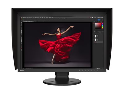 EIZO ColorEdge CG2400S