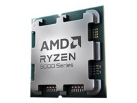 AMD Ryzen 5 9600X