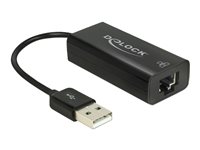 DeLock Netværksadapter USB 2.0 100Mbps Kabling