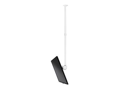 Atdec - Mounting kit (ceiling mount, ceiling plate cover, telescopic pole, universal mounting head)