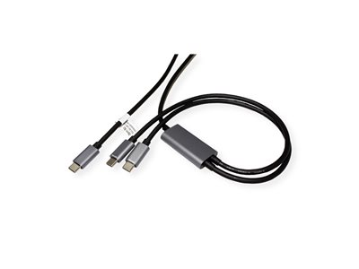 ROLINE USB Typ C Split-Ladekabel C 1,85m Optionen & Zubehör