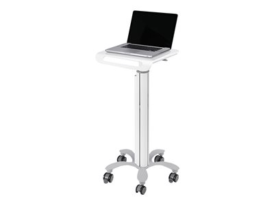 NEOMOUNTS Mobile Laptop Cart 10-22p