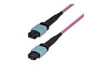 Startech - Cordon de raccordement - mode unique MTP/MPO (F) pour mode unique MTP/MPO (F) - 2 m 