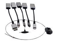 Prokord Premium Videoadapter-kit DisplayPort / HDMI / USB Sort Grå 