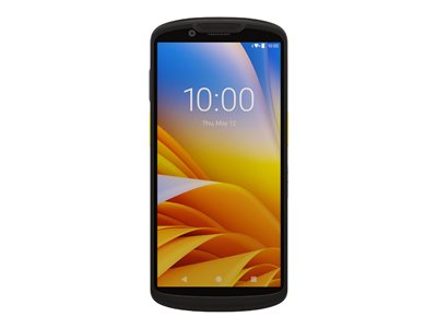Zebra TC53 Data collection terminal rugged Android 11 64 GB 6INCH (1080 x 2160) 