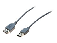 MCAD Cbles et connectiques/Liaison USB & Firewire ECF-532508