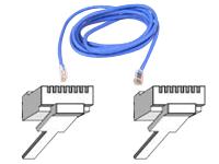 Belkin - Cordon de raccordement - RJ-45 (M) pour RJ-45 (M) - 0.5 m 