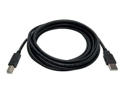 Black Box - USB cable