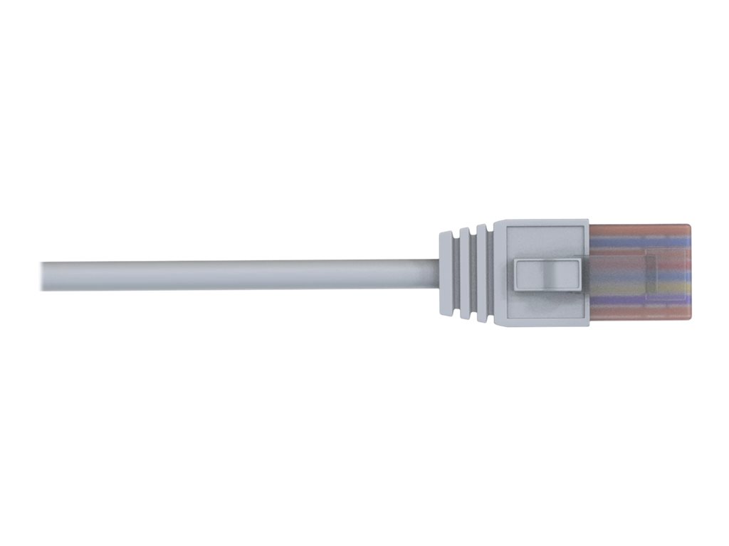TELTONIKA NETWORKS Ethernet cable 1.5M