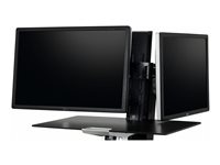 Ergotron mounting component - for 2 LCD displays - black