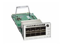 Cisco Catalyst 9300 Series Network Module