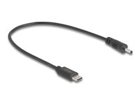 DeLOCK 24 pin USB-C (male) - Strøm DC jackstik 3,0 mm (ID: 1,1 mm) (male) Sort 27cm Strømkabel