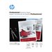 HP Professional Brochure and Flyer