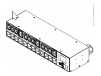 Raritan PX3-1243R - Power distribution strip (rack-mountable)