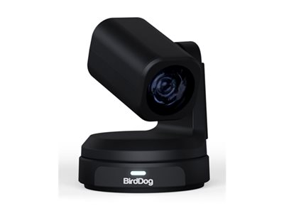 Broadcast & Conferencing 4K PTZ Camera - Black – BirdDog