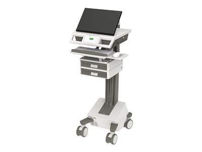 Ergotron Mosaic - Cart