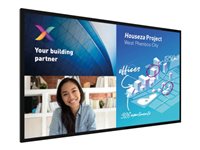 Philips 65BDL8051C 65INCH Diagonal Class (64.5INCH viewable) C-Line LED-backlit LCD display 
