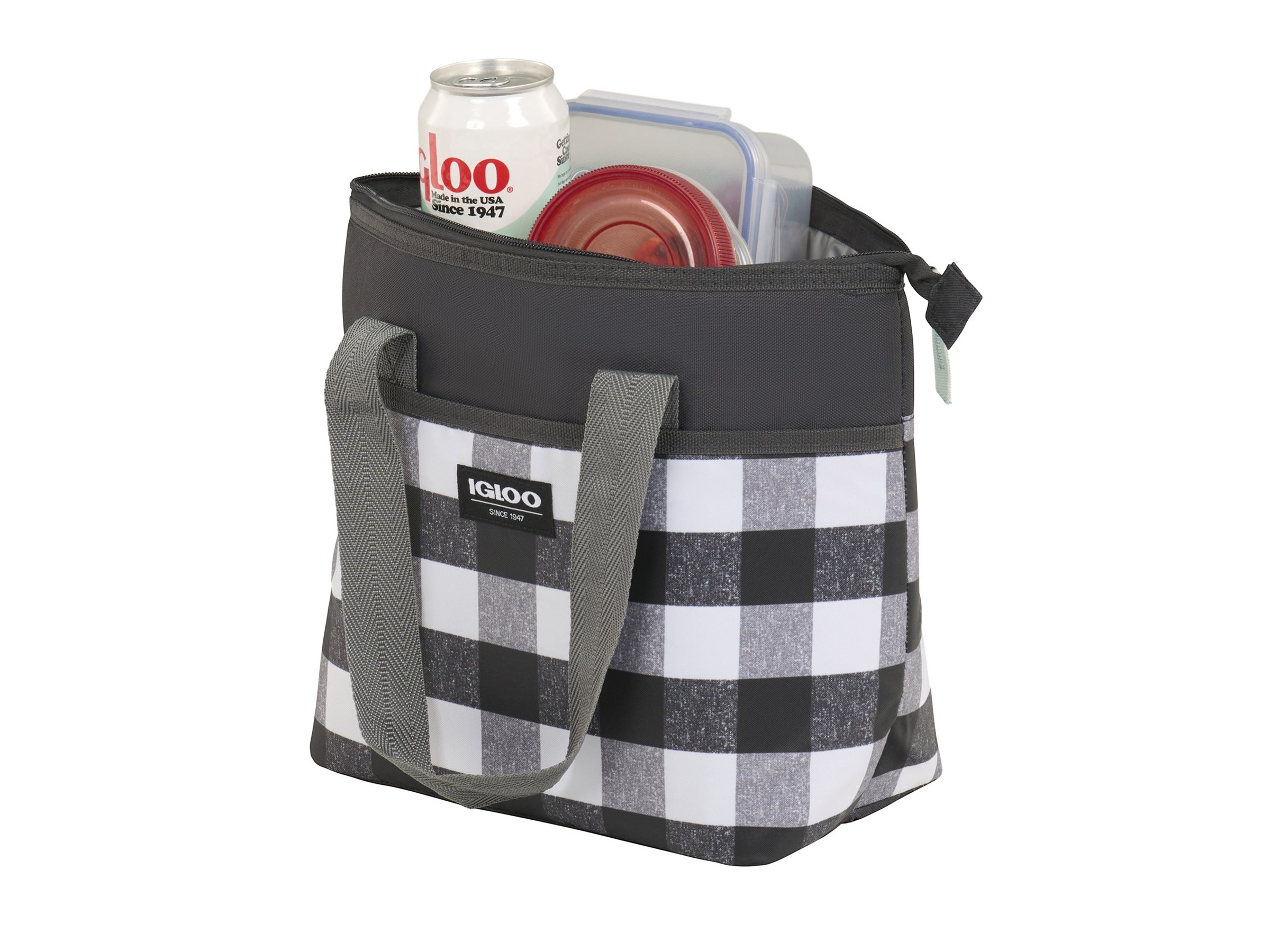 Igloo Mini Carrying Bag - Assorted