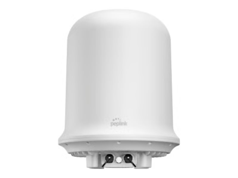 PePLink Dome Pro LR - Wireless router