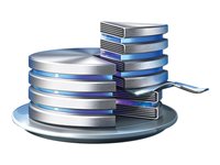 Acronis Disk director D1SYLPZZS31