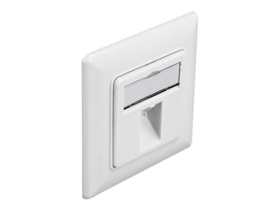 DELOCK Keystone Anschlussdose 1 Port