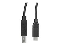 StarTech USB C to USB B Printer Cable - 1.6 ft / 0.5m - USB C Printer Cable - USB C to USB B Cable - USB Type C to Type B (US