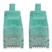 Tripp Lite Cat6a 10G Snagless Molded Slim UTP Ethernet Cable (RJ45 M/M), Aqua, 10 ft. (3.1 m)