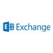 Microsoft Exchange Server Hosted Exchange Enterprise SAL - license & software assurance - 1 subscriber (SAL)
