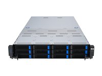 ECE11786078