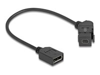 Delock DisplayPort kabel 30cm Sort