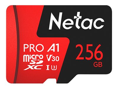 Netac P500 Extreme Pro, flash memory card, 256 GB, microSDXC UHS-I U3